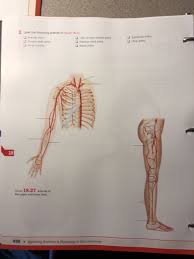 They may come with or without labels. Solved Name Section Unit 18 Check Your Recall Review 1 La Chegg Com