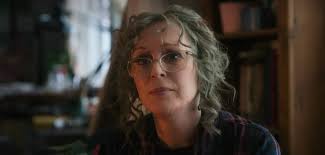 Você já viu eles; Conheça o elenco de O Diário de Noel