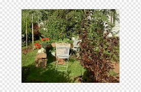 *lawn and shrub care is only available in florida. Backyard Tree Landscaping Lawn Shrub Tree Outdoor Structure Landscape Grass Png Pngwing