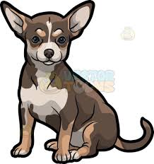 Small Dog Breeds With Black And Brown Fur An Adorable Chihuahua Chihuahua Drawing Dog Drawing Dog Art