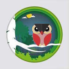 Sie gibt tipps und tricks. Papierkunst Schnitzen Vom Vogel Rote Eule Auf Baumast Im Wald Am Nachthintergrund 554439 Vektor Kunst Bei Vecteezy