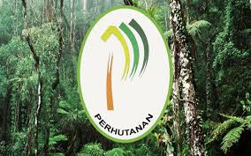 If it is kecutan it simply means shrinking shrunken due to dry heat. 18 Individu Ceroboh Daki Hutan Simpan Panti Tanpa Permit My Tv Online