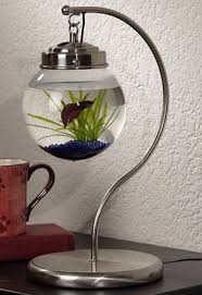 Hanging Fish Bowl Lamp More Than Just A Fish Bowl More Than Just A Lamp It S A Two In One Deal This Hanging Fish Bo Glass Fish Tanks Fish Tank