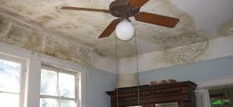 It reportedly kills 82% of mold. Cleaning And Killing Black Mold With Common Non Toxic Household Products Life Maid Easy