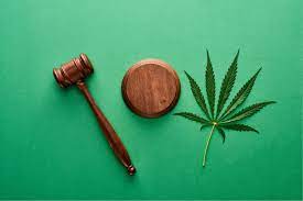 Maybe you would like to learn more about one of these? Every Florida Medical Marijuana Law You Need To Know Cannamd