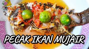 Ikan mujair (ikan apa saja) 1/2 jeruk nipis (sesuai. Resep Pecak Ikan Mujair Youtube