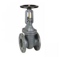 Cast Iron Rising Stem Gate Valve