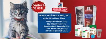Kolaymama Com Hills Kitten Tavuk Etli Yavru Kedi Baslangic Seti Kampanyasi Detayli Bilgi Ve Satin Almak Icin Https Www Kolaymama Com Hills Kitten Tavuk Etli Yavru Kedi Mamasi 400400 Groyuncak Baslangic Seti Keyifli Alisverisler Www Kolaymama