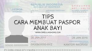 Bagian dki jakarta yang melayani. Cara Membuat Paspor Anak Bayi Smell Like Home
