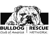 All of our puppies are born and raised as part of our family, until they are old enough to go home and be part of yours! Bulldog Rescue Network