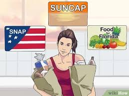 18.04.2020 · here is the florida food stamps income limit for 2019 snap ebt application. How To Apply For Food Stamps In Florida With Pictures Wikihow