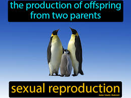Pin On 2 000 Science Flashcards