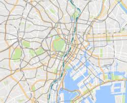 Googleマップapiで地名などの文字を非表示にする