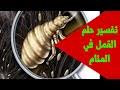 Check spelling or type a new query. Ø¯Ø¹Ø§Ø¡ Ù„ÙƒØ´Ù Ø§Ù„Ø³Ø§Ø±Ù‚ ÙÙŠ Ø§Ù„Ù…Ù†Ø§Ù… Ø´Ø§Ù‡Ø¯ Ø¹Ù„Ù‰ Ø§Ù„Ø¥Ù†ØªØ±Ù†Øª Ù…Ø¬Ø§Ù†Ø§ ÙˆØªØ­Ù…ÙŠÙ„ ÙÙŠØ¯ÙŠÙˆ Ù…Ø¬Ø§Ù†ÙŠ