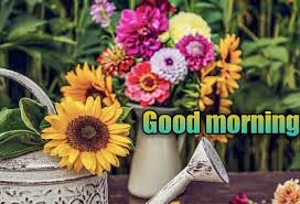 Latest New Good Morning Coffee Images À¤— À¤¡ À¤® À¤° À¤¨ À¤— À¤µ À¤²à¤ª À¤ªà¤° À¤¡ À¤‰à¤¨à¤² À¤¡ Ladybug also wants to drink some beautiful tropical morning. latest new good morning coffee images