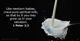 Image result for picture like a newborn baby bible
