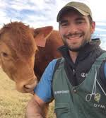 Attica Veterinary Associates, P.C. |Services