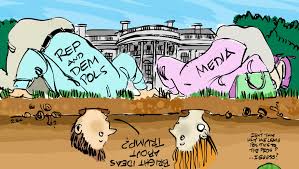 Gallery: Brevard political cartoons