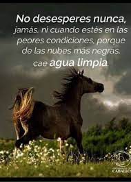 Maybe you would like to learn more about one of these? Pin En Frases Para Reflexionar