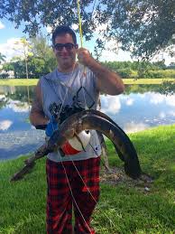 Greenfish icon editor pro (gfie pro) is a powerful open source image editor, especially suitable for creating icons, cursors, animations and icon libraries. Backyard Crossbow Fishing For Bullseye Snakehead Fishing