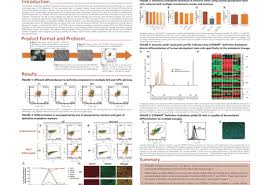 ↑ barbaro v, ferrari s, fasolo a, et al. Highly Efï¬cient Differentiation Of Human Pluripotent Stem Cells To Multipotent Deï¬nitive Endoderm Using The Serum Free And Animal Component Free Stemdiff Deï¬nitive Endoderm Culture System