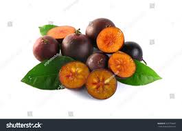 Image result for Flacourtia