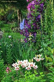 Img 6786 Jpg 864 1 296 Pixels Blumen Pflanzen Pflanzen Garten