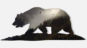 California Bear Wallpaper Png 1 920 1 080 Pixels