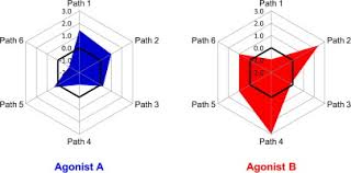 Practical Guide For Calculating And Representing Biased Signaling By Gpcr Ligands A Stepwise Approach Sciencedirect