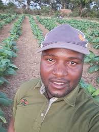Zimbabwe Tobacco Growers Association (Zitoga)