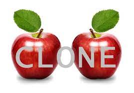 Kita semua mencari makna dalam kehidupan kita. Apa Itu Aplikasi Clone Dan Unclone Serta Kelebihan Dan Kekurangannya Pada Android Wijana97