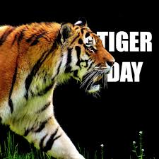 We did not find results for: Us Mission To Asean On Twitter Today Is International Tiger Day Didyouknow Tigers Have Lost 93 Of Their Historical Range Their Habitat Has Been Destroyed Degraded And Fragmented By Human Activities