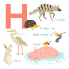 Conjunto De Animales De La Letra H Alfabeto Ingles Ilustracion Vectorial Aislado En El Fondo Blanco Ilustraciones Vectoriales Clip Art Vectorizado Libre De Derechos Image 65979239