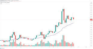 Bitcoin's price has been rising since the beginning of the week. 1 Why Is Bitcoin Cash Going Up Today What Is Bitcoin Cash Cnn Then The Bitpay Ceo Mentioned That He Was Considering Adding Bitcoincash To Their Payment Options