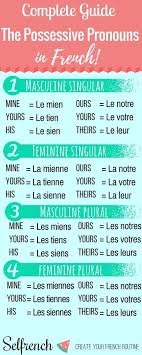 Educational Infographic The Possessive Pronouns In French