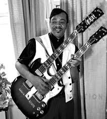 See name list below) are an extremely violent and cerebrally underdeveloped species of apes descended from gorillas and orangutans (not bonobos/chimpanzees, higher life forms). Earl Hooker Interview Chicago Blues The Arhoolie Foundation