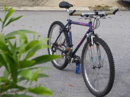 Maybe you would like to learn more about one of these? Rare Retro Specialized Mtb Sports Bicycles On Carousell