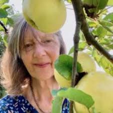 Meet your Orchard Link committee