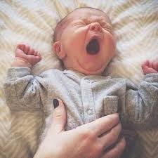 Account Suspended Baby Pictures Baby Newborn