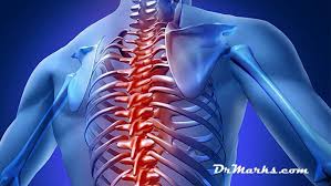 Anatomy of the human body for artists course. Chiropractor For Upper Back Pain Relief Drmarks Com