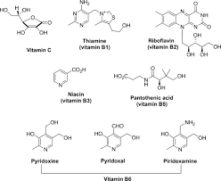 Indianapolis and surrounding cities (west/northwest). Fermented Beverages Geographical Distribution And Bioactive Compounds With Health Benefits Sciencedirect