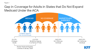 If your gap will match up with the first of the year, you could get traditional health insurance through open enrollment. The Coverage Gap Uninsured Poor Adults In States That Do Not Expand Medicaid Kff