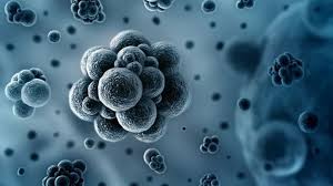 What are VOCs in Paint & How to Remove Them | IP Systems