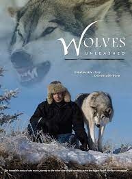 Error 404 File Not Found Animals Of The World Wolf Big Wolf