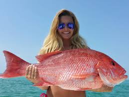 It may not display this or other websites correctly. Red Snapper Season 2021 All You Need To Know