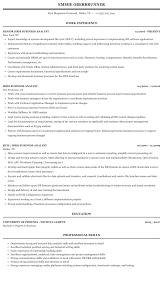 Hris Business Analyst Resume Sample Mintresume