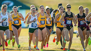 Cross country poised to run the Roy Griak Invite