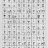 It is one of the import marks of pic. 1