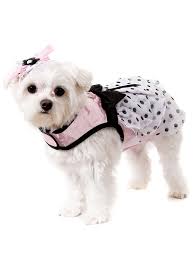 2020 popular 1 trends in home & garden with pet dress tulle and 1. Pink Satin And Hearts Chiffon Harness Dress Lead And Hat Dog Formal Wear At Urban Pup