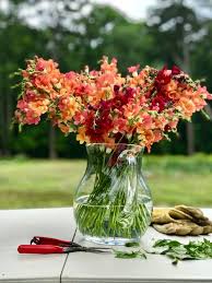 Maybe you would like to learn more about one of these? Flowers We Grow Apex Flower Farm Florist Service For Apex And Cary Nc